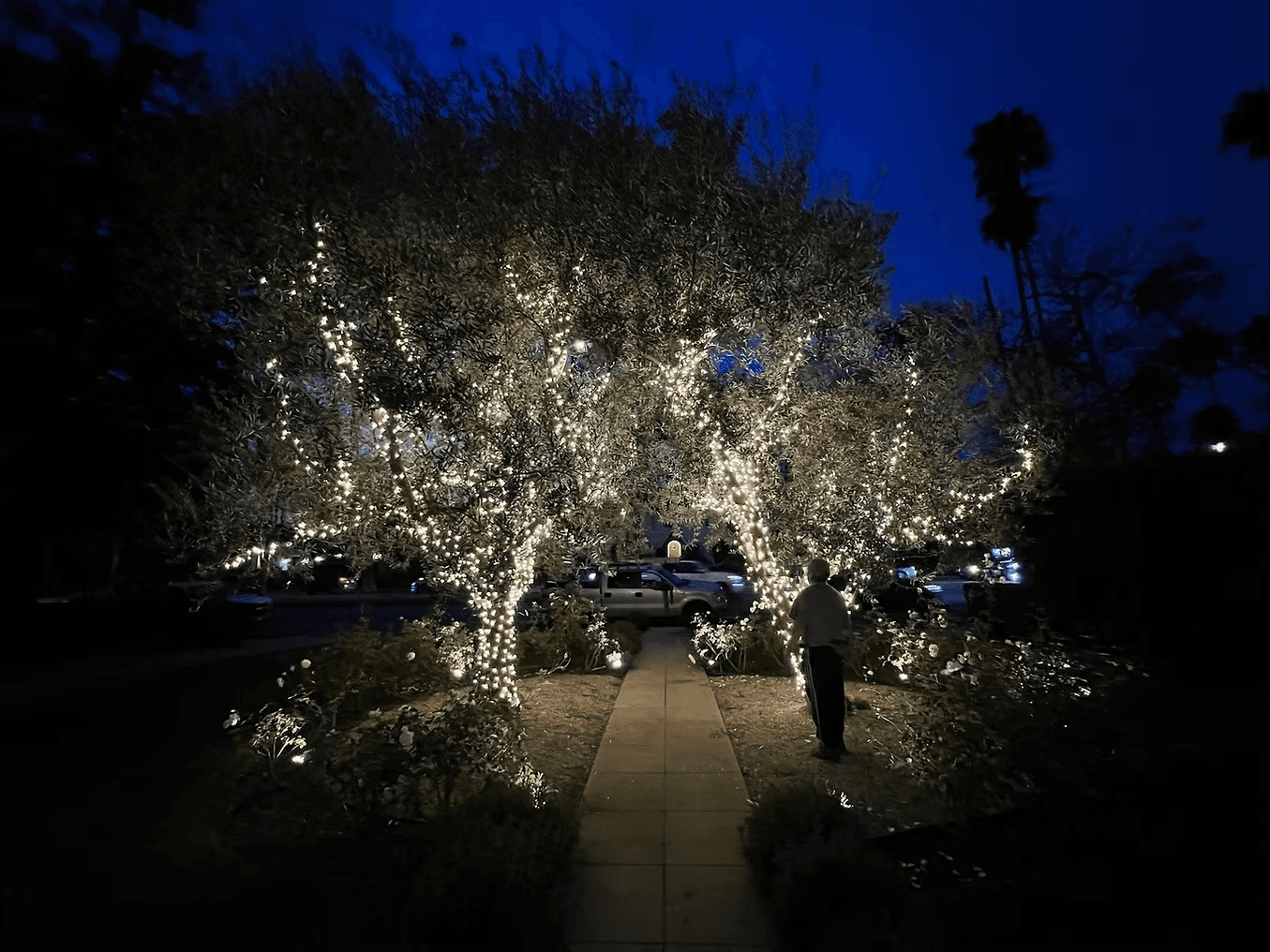 Christmas light installation 7